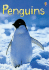 Penguins (Usborne Beginners)