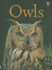 Owls (Usborne Beginners)