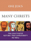 One Jesus, Many Christs: How Jesus Inspired Not One True Christianity, But Many