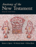Anatomy of the New Testament