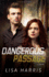 Dangerous Passage: a Novel (Southern Crimes)