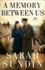 A Memory Between Us: a Historical Romance of the Wwii Air Force in England (Wings of Glory)