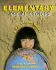Elementary Social Studies: a Practical Guide