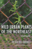 Wild Urban Plants of the Northeast: a Field Guide