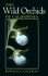 The Wild Orchids of California (Comstock Books)