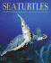 Sea Turtles-a Complete Guide to Their Biology, Behavior and Conservation