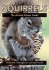 Squirrels: the Animal Answer Guide
