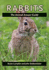 Rabbits: the Animal Answer Guide (the Animal Answer Guides: Q&a for the Curious Naturalist)