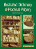 Illustrated Dictionary of Practical Pottery