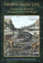 Drawn From Life: Science and Art in the Portrayal of the New World