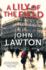 A Lily of the Field: a Novel