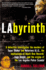 Labyrinth: the True Story of City of Lies, the Murders of Tupac Shakur and Notorious B.I.G. and the Implication of the Los Angeles Police Department