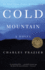 Cold Mountain: a Novel