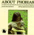 About Phobias: an Open Family Book for Parents and Children Together