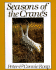 Seasons of the Cranes