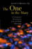 The One in the Many: a Contemporary Reconstruction of the God-World Relationship
