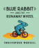 Blue Rabbit and the Runaway Wheel