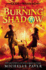 The Burning Shadow (Gods and Warriors)