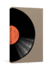 A Record of My Vinyl: a Collector's Catalog