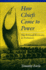 How Chiefs Came to Power: the Political Economy in Prehistory
