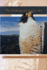 The Endangered Species Act (a Stanford Environmental Law Society Handbook)