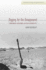 Digging for the Disappeared: Forensic Science After Atrocity (Stanford Studies in Human Rights)
