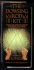 The Dowsing Rod Kit