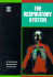 Respiratory System (Human Body Systems)