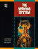 The Nervous System (Human Body Systems)