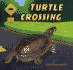 Turtle Crossing