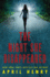 The Night She Disappeared