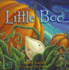 Little Boo