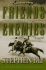 Friends and Enemies: Fortunes of the Black Hills