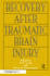 Recovery After Traumatic Brain Injury (Institute for Research in Behavioral Neuroscience Series)