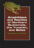 Amphibians and Reptiles of Northern Guatemala, the Yucatan, and Belize (Volume 4) (Animal Natural History Series)