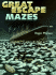 Great Escape Mazes