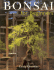 Bonsai for Beginners