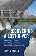 Recovering a Lost River