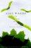 Lost Woods-the Discovered Writing of Rachel Carson