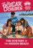 The Mystery of the Hidden Beach (the Boxcar Children Mysteries)