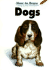 How to Draw Dogs