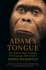 Adam's Tongue: How Humans Made Language, How Language Made Humans