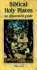 Biblical Holy Places: an Illustrated Guide