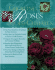 Growing Roses in Cold Climates