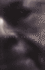 A Stanislaw Lem Reader (Rethinking Theory)