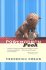 Postmodern Pooh (Rethinking Theory)