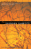 The Unknown Quantity (English and German Edition)