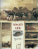 Noah's Ark