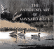 The Waterfowl Art of Maynard Reece