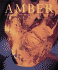 Amber: Window to the Past (Antique) Bernstein-Grimaldi, David a.
